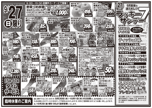 チラシ裏面イメージ